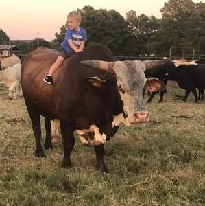 Meet your Posher, Sandy